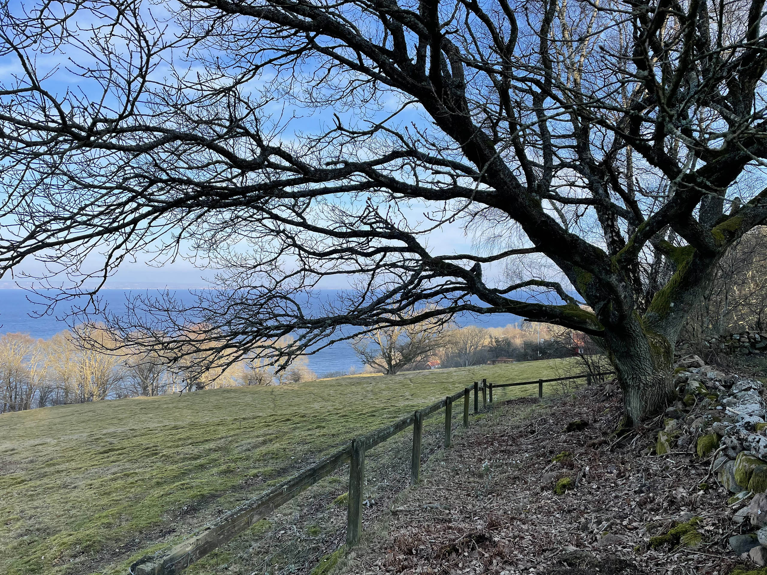 Utsikt på Kullaberg