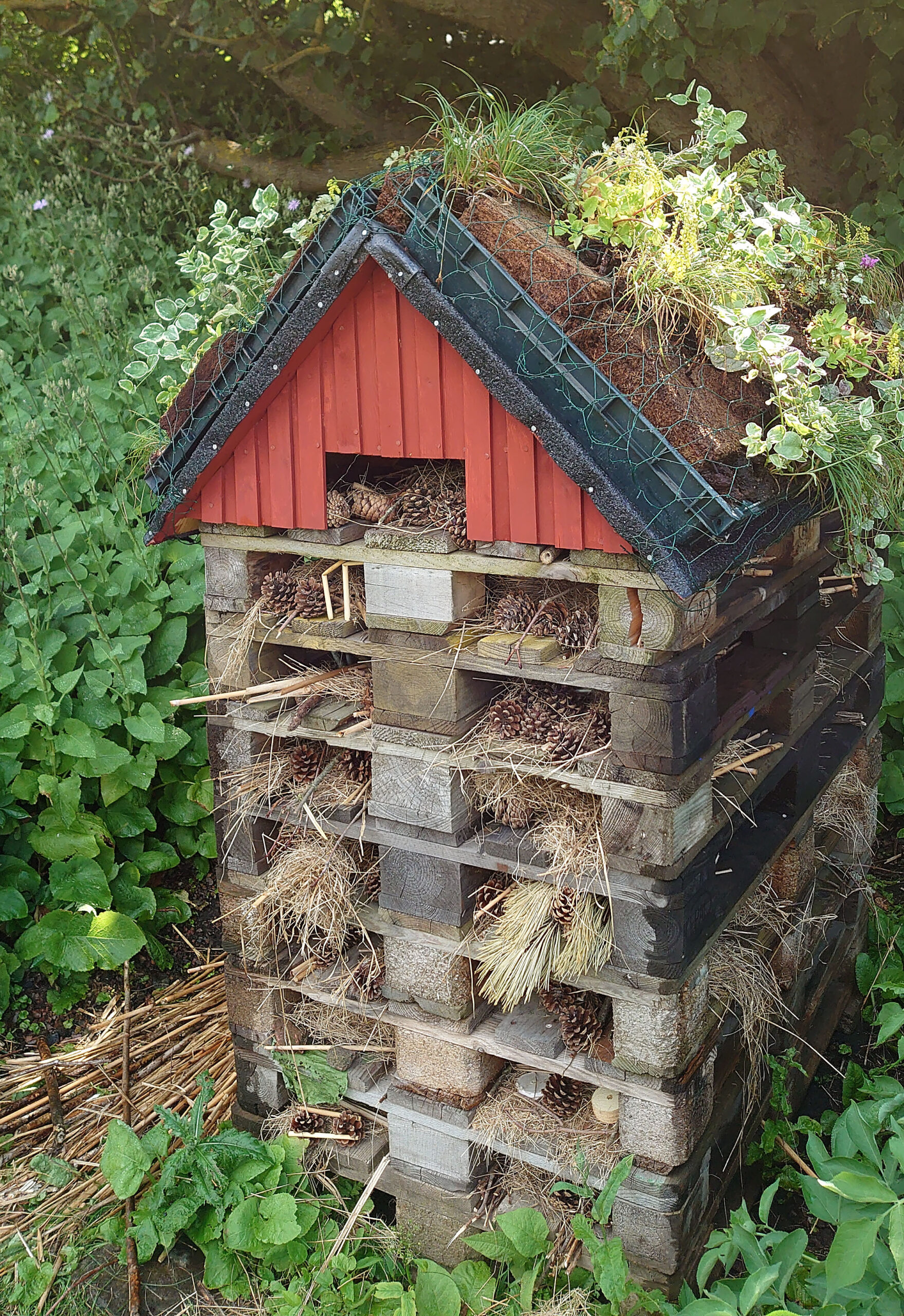 bygge för insekter